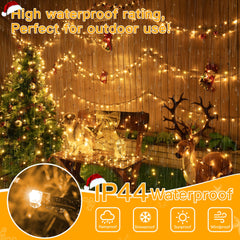 Ollny lights wrapped around a tree creating even warm illumination