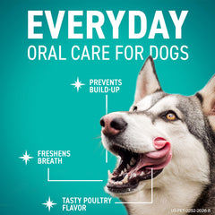 OraVet chew texture detail showing porous surface for plaque removal benefit