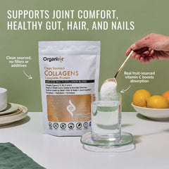 Organixx scoop of collagen powder ready to add to beverages