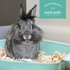 Oxbow used in a guinea pig litter box for easier cleanup
