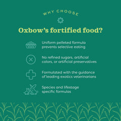 Oxbow pellets in a bowl ready to serve with clear portioning benefits