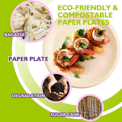 PACKINNO close-up of bagasse texture emphasizing sturdy natural fibers