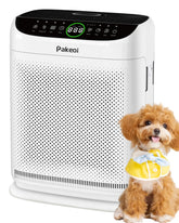 PAKEOI front panel view showing controls and benefits of large-room coverage