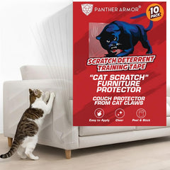 Panther Armor front packaging showing 10 adhesive sheets and brand for clear protection