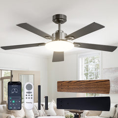 Passky 52-inch fan front view showing sleek black finish and integrated light benefit airflow