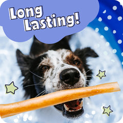 Pawstruck 11–12 inch stick beside measuring tape demonstrating length benefit