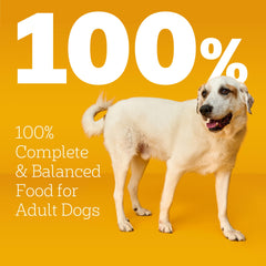 Pedigree ingredients label detail highlighting nutrition transparency