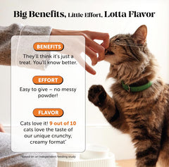 Pet Honesty chew split open showing creamy center to entice picky eaters