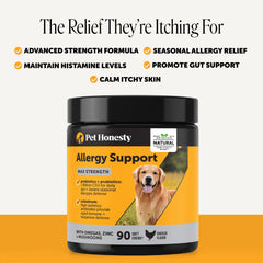 Pet Honesty chicken-flavored chew on hand to show scale and palatability