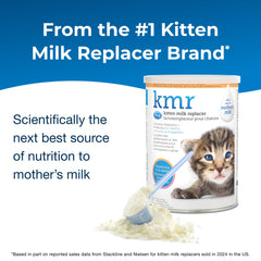 PetAg KMR powder texture close-up indicating easy-to-dissolve formula