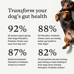 PetLab Co. soft chew close-up showing texture and easy chewability