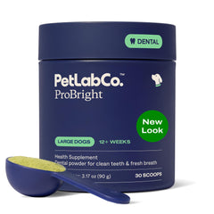 PetLab Co. jar front view showing ProBright dental powder for large dogs and clear label benefit