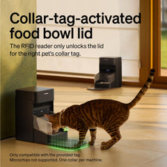 PETLIBRO open lid and bowl revealing secure compartment to prevent stealing