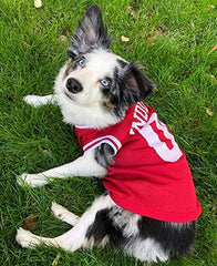 Pets First close-up of screen-printed Hoosiers logo and number highlighting authentic detail