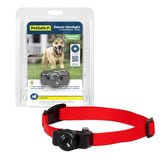 PetSafe ultralight front view showing compact receiver and comfortable fit