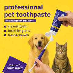 Petsmile paste texture close-up demonstrating non-abrasive formula