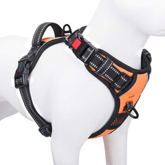 PHOEPET front view of harness showing fit and comfort benefits