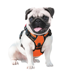 PHOEPET side buckles and lockable neck clip for easy on/off
