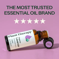 Plant Therapy lavender oil poured into spoon illustrating texture and clarity benefits