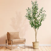 plantsworld faux olive tree front view showing full 6ft height and graceful shape