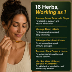 Plus+Ultra arranged botanicals flatlay showing the 16 herbal ingredients and transparency