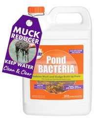 Pond Worx gallon front label showing product identity and benefits