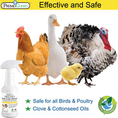 Premo Guard mist being applied to chicken feathers for fast parasite control