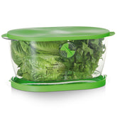 Progressive lettuce keeper front view showing clear container and green lid promoting organized storage