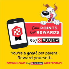 Purina Beggin' torn piece used as a training reward shows portion control benefit