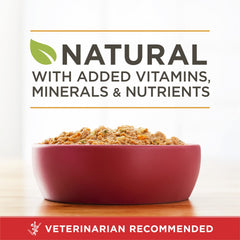 Purina ONE chicken ingredient display highlighting real chicken protein
