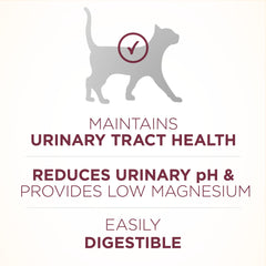 Purina ONE real chicken ingredient image showing quality protein