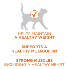 Purina ONE emphasis on real turkey ingredient for high-protein nutrition