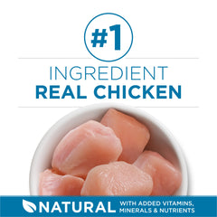 Purina ONE close-up of crunchy kibble texture to support dental chewing