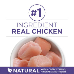 Purina ONE close-up of kibble texture promoting chewing benefits