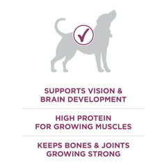 Purina ONE crunchy kibble and meaty morsels showing appealing texture
