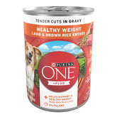 Purina ONE front can showing product name and weight for easy identification