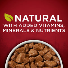 Purina ONE close-up of duck pieces emphasizing varied animal proteins and taste
