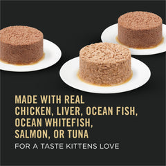 Purina Pro Plan pate texture close-up showing smooth, digestible consistency