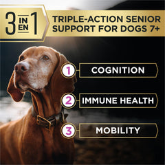 Purina Pro Plan in bowl while senior dog eats supporting easy mealtimes