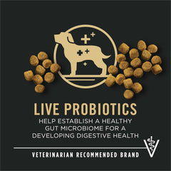 Purina Pro Plan close-up of small kibble texture for easy chewing