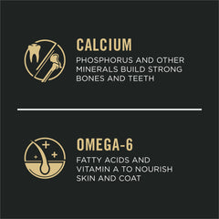 Purina Pro Plan kibble texture close-up for easy chewing benefits