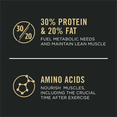 Close-up of Purina Pro Plan kibble texture for palatability and protein