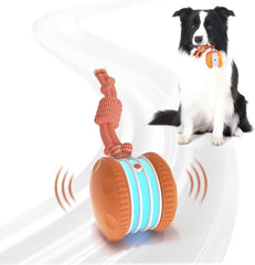 QGI interactive dog ball front view showing design and playful shape for engagement