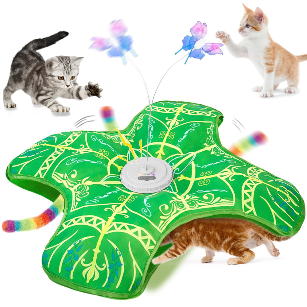 Qraxond front packaging showing product and benefit of stimulating play