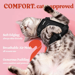 rabbitgoo leash attached to harness on cat during supervised outdoor walk