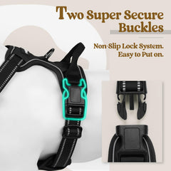 rabbitgoo top handle and back d-ring shown for quick grab and casual leash use