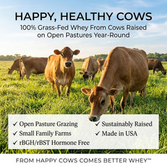 Raw Organic Whey scoop with measured portion illustrating consistent servings