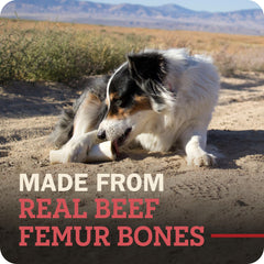 redbarn cheese and bacon filling close-up highlighting flavor appeal for picky dogs