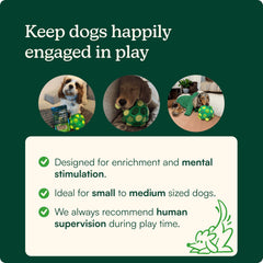 Reggie dog sniffing the snuffle ball promoting calming foraging and mental stimulation