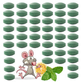 ROTIAH front packaging showing 48-count pack and natural peppermint benefit